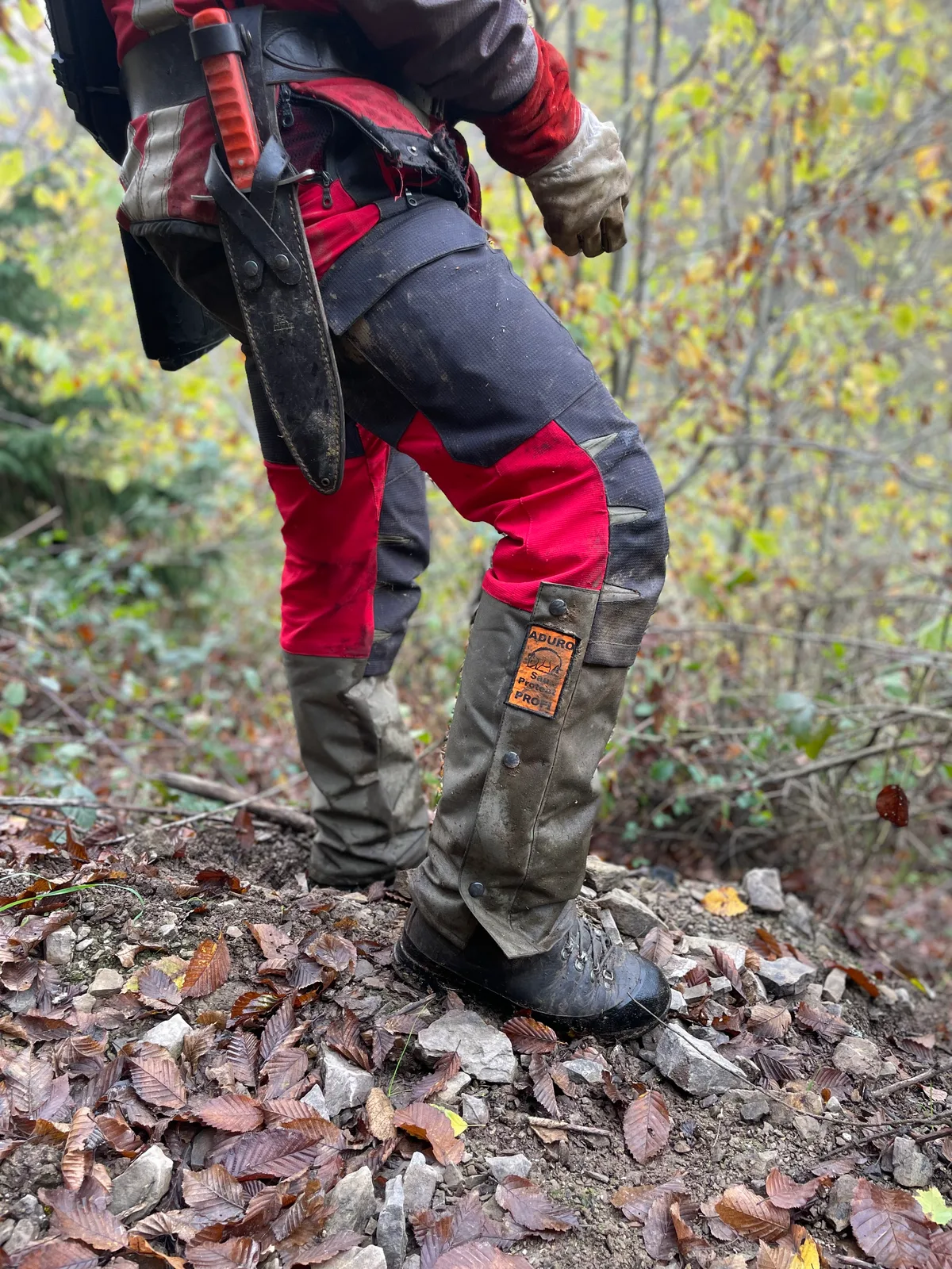 Hundeführer in roter Sau Protect Profi mit Messer am Gürtel im herbstlichen Wald, von hinten