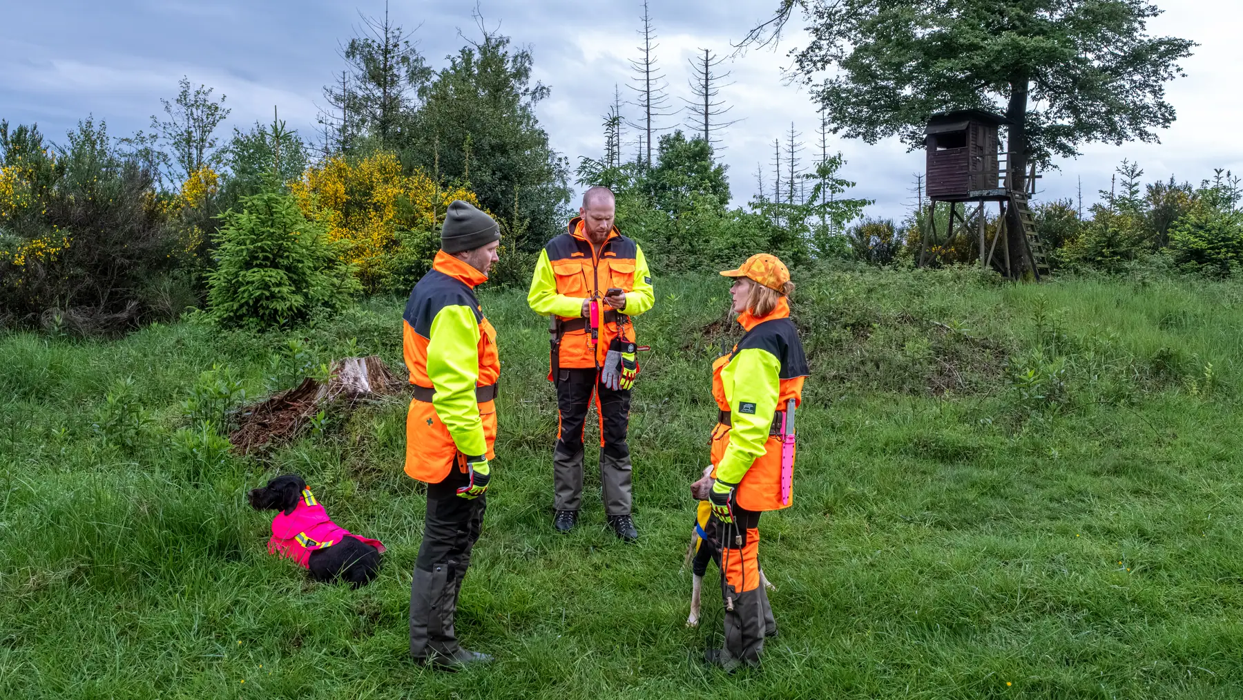 Drei Hundeführer mit Hunden auf einer Lichtung vor einem Hochsitz