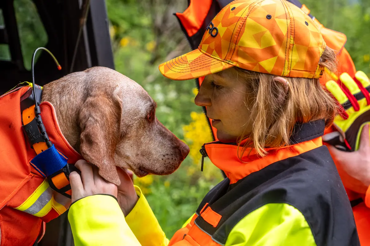 Hundeführerin Auge in Auge mit ihrem Jagdhund in Schutzausrüstung