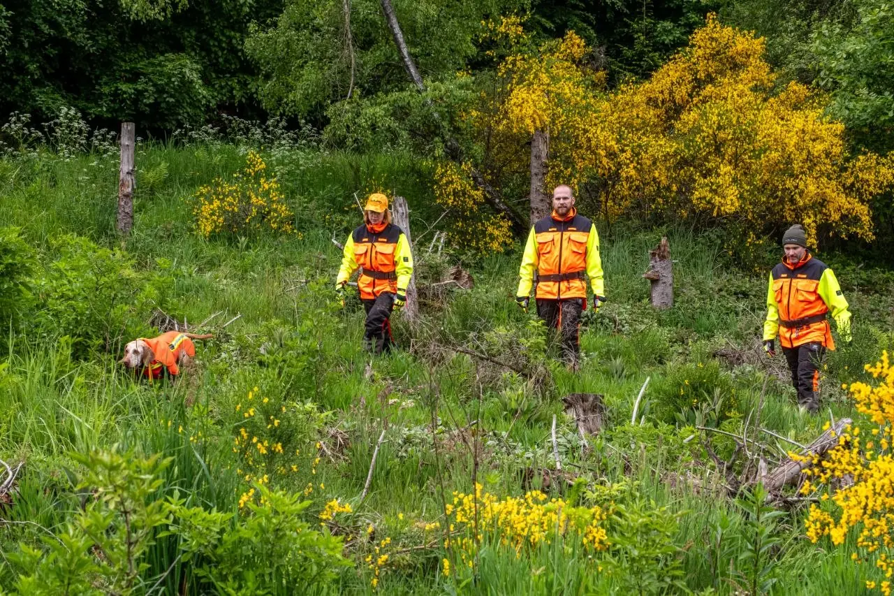 Drei Jäger mit ADURO Signalwesten auf Drückjagd