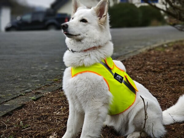 Warnweste Hund Sitz Gelb